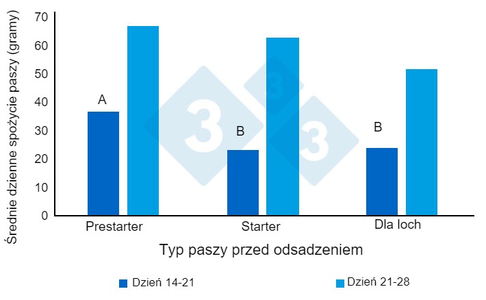 Wykres 1. Średnie dzienne spożycie paszy przez prosięta jedzące (gramy/dzień) przed odsadzeniem. Zaadaptowane z Heo i in. (2018). R&oacute;żne nadpisy (AB) przy&nbsp;słupkach wskazują na tendencję do istotnej r&oacute;żnicy między grupami (P<0,10).
