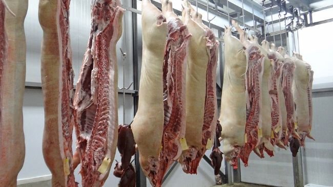 carne de cerdo