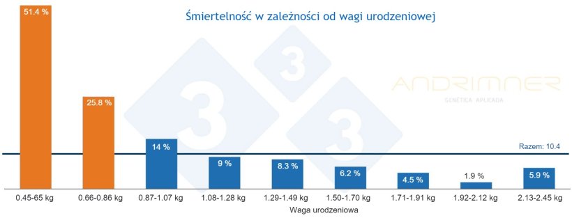 Wykres 3. Współczynnik śmiertelności w zależności od wagi urodzeniowej. Źródło: Javier Lorente. Gospodarstwo komercyjne, 3483 prosiąt zważonych indywidualnie w 2021 r.