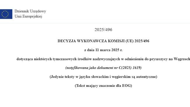 decyzja wykonawcza