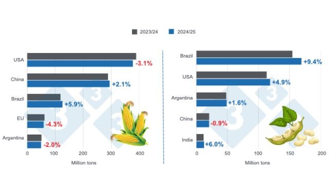 Prognoza zbiorów dla głównych światowych producentów kukurydzy i soi - sezon 2024/25 w porównaniu z sezonem 2023/24. Ostatnia aktualizacja 10 kwietnia 2025 r. Przygotowane przez 333 Latin America na podstawie danych z FAS - USDA.
