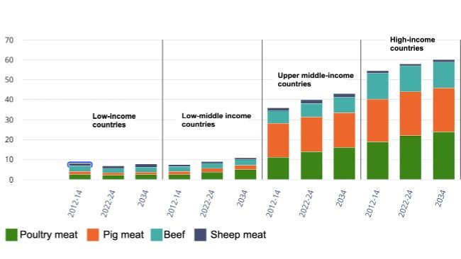 Spożycie mięsa na osobę według grup dochodowych i rodzaju mięsa. Kilogramy/osobę/rok (ekwiwalent wagi detalicznej). Źródło: OECD/FAO (2025), "OECD-FAO Agricultural Outlook", OECD Agriculture statistics (database), http://data-explorer/oecd.org/s/1hc.