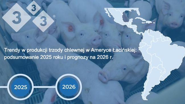 Trendy w produkcji trzody chlewnej w Ameryce Łacińskiej: podsumowanie 2025 roku i perspektywy na 2026 r.
