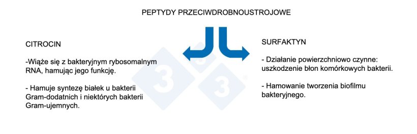 Ryc. 3. Właściwości peptydów przeciwdrobnoustrojowych.