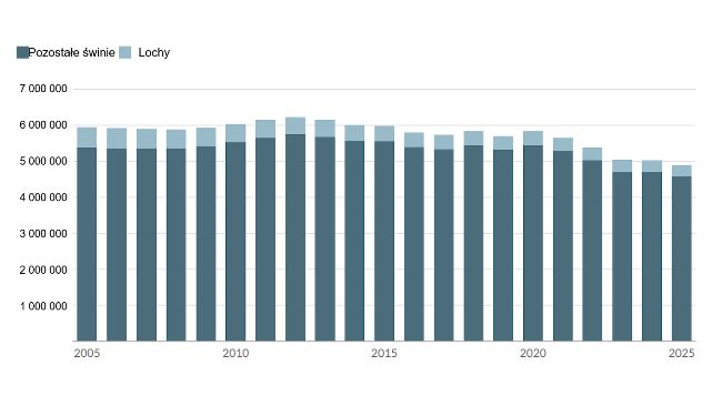 Pogłowie trzody chlewnej w Regionie Flamandzkim w latach 2005–2025, liczba zwierząt. Źródło: Statbel, opracowanie Agencji Rolnictwa i Rybołówstwa.