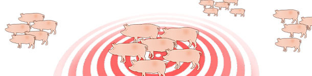 Dynamics of Influenza virus in sow herds
