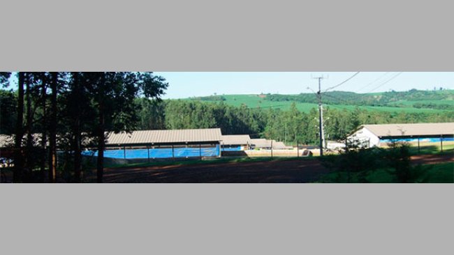 Ferma świń