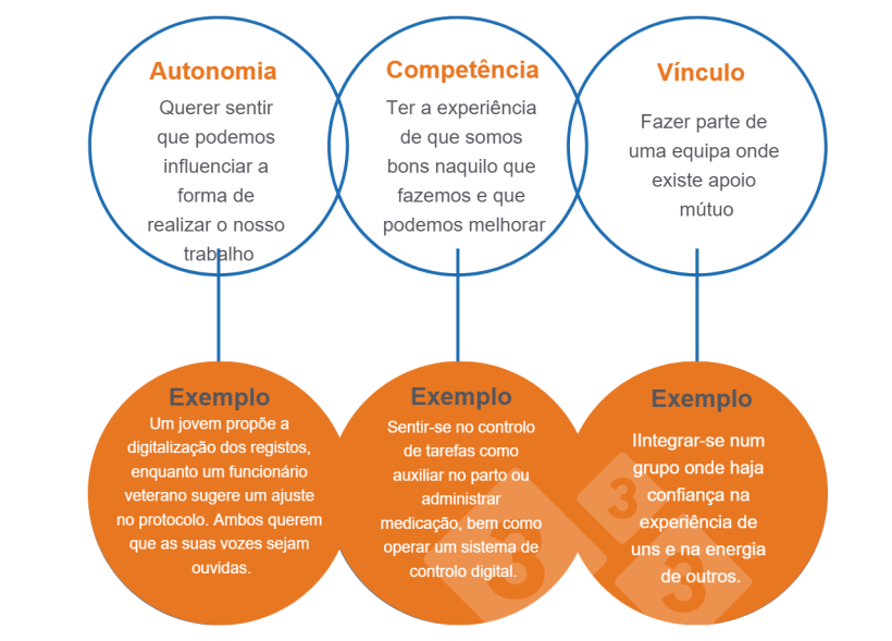 Imagem 1. Necessidades universais partilhadas (Deci &amp; Ryan, 2000).
