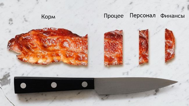 Коэффициент конверсии корма