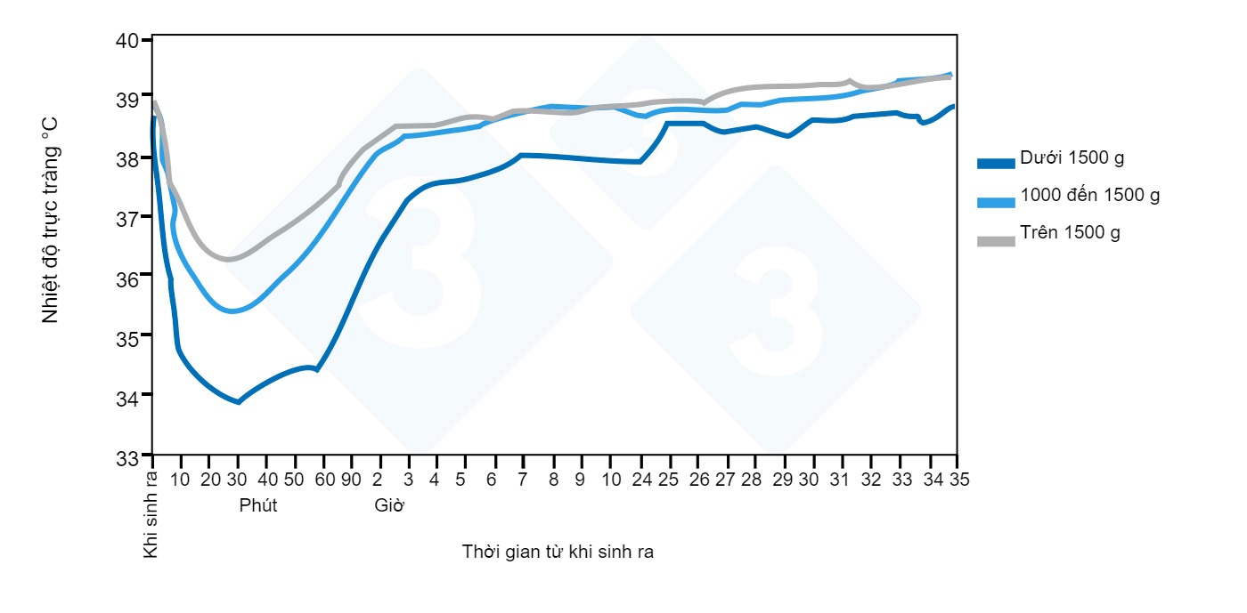 Piglet rectal temperature trends from birth to 35 hours of age in relation to weight group at birth