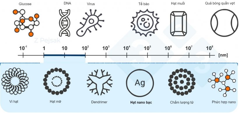 H&igrave;nh 2. Thước đo nanomet.
