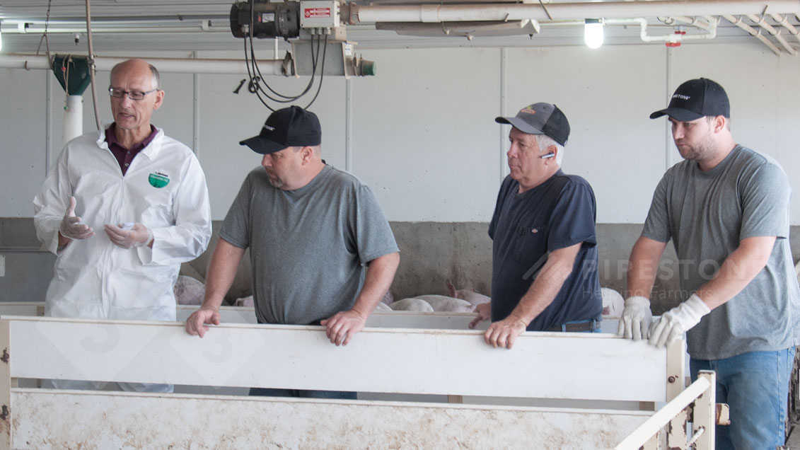 Team of workers on pig farm