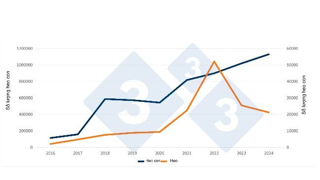 Nhập khẩu heo con và heo từ Hà Lan vào Tây Ban Nha trong 6 tháng đầu năm 2016 đến năm 2024. Nguồn: 333 dựa trên dữ liệu RVO. 