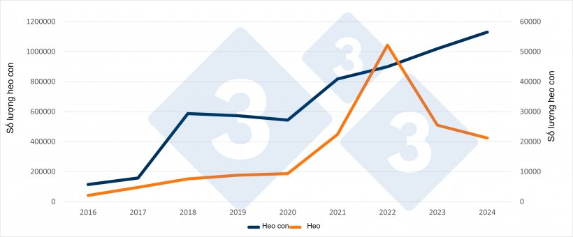 Nhập khẩu heo con v&agrave; heo từ H&agrave; Lan v&agrave;o T&acirc;y Ban Nha trong 6 th&aacute;ng đầu năm 2016 đến năm 2024. Nguồn: 333 dựa tr&ecirc;n dữ liệu RVO.&nbsp;
