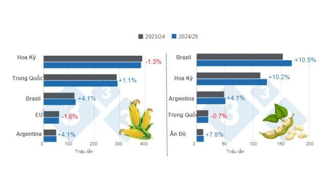 Dự báo cho các nhà sản xuất ngô và đậu nành chính trên thế giới - niên vụ 2024/25 so với niên vụ 2023/24 - cập nhật lần cuối: ngày 12 tháng 8 năm 2024. Chuẩn bị bởi 333 Mỹ Latin với dữ liệu từ FAS - USDA.
