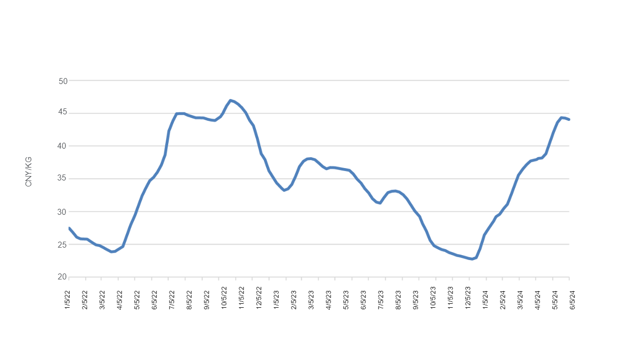 Average piglet price in China