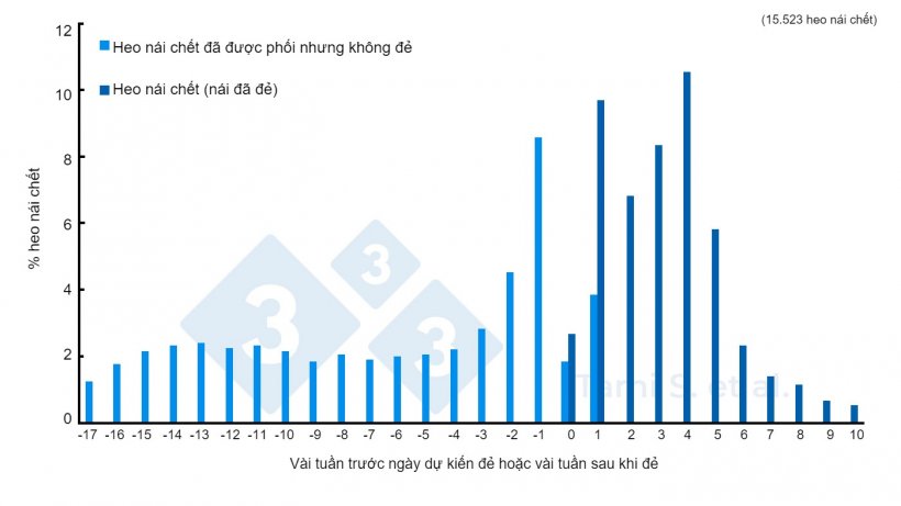 H&igrave;nh 1. Tỷ lệ(%) heo n&aacute;i chết, trước hoặc sau khi đẻ, trong tổng số 7.778 heo n&aacute;i đ&atilde; được phối cộng với 7.745 heo n&aacute;i đ&atilde; đẻ. Nguồn: Tami S. v&agrave; cs, 2017.
