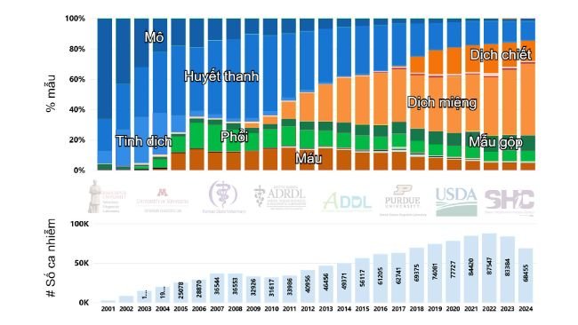 Hình 1. Số ca nhiễm và phân chia theo tỷ lệ phần trăm mẫu xét nghiệm PRRSV bằng RT-PCR qua các năm tại Hoa Kỳ (2001-2024). Hình trích xuất từ trang web Hệ thống báo cáo bệnh heo (SDRS, https://fieldepi.org/domestic-swine-disease-monitoring-program/).