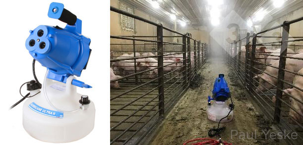 Hình 3. Phơi nhiễm khí dung của nái hậu bị đối với Mycoplasma hyopneumoniae. Nguồn: P. Yeske. 2019. www.pig333.com