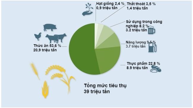 Sử dụng ngũ cốc trong năm 2021/22. Dữ liệu sơ bộ. Nguồn: BLE 