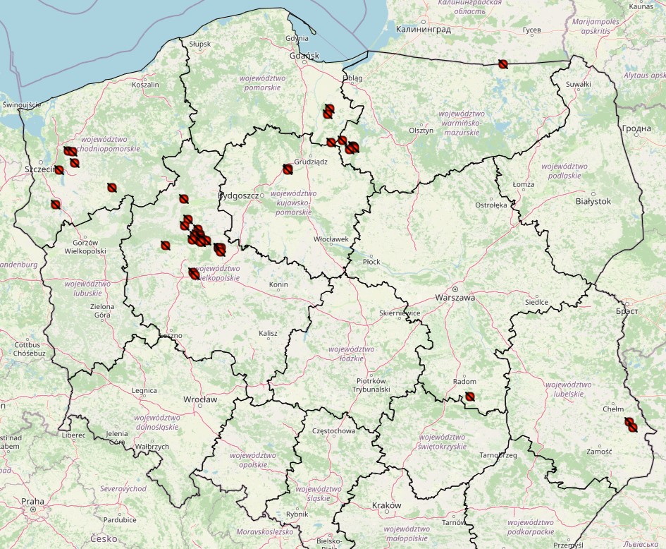 ASF outbreaks in pigs in Poland in 2024