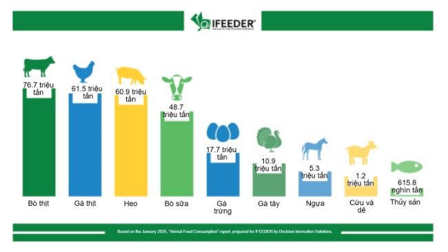 Lượng thức ăn chăn nuôi, gia cầm và nuôi trồng thủy sản của Hoa Kỳ theo từng nhóm trong năm 2023. Nguồn: IFEEDER.