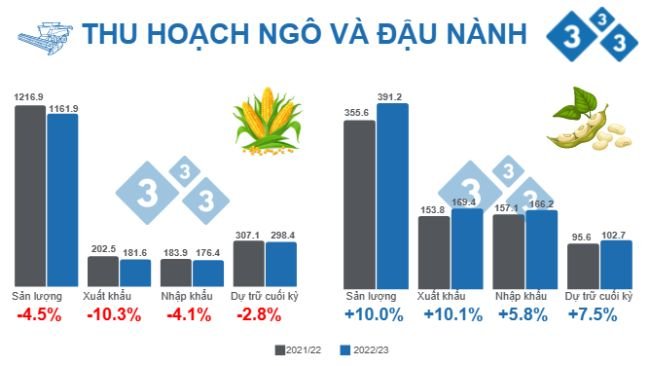 Nguồn: USDA - WASDE. 9 tháng 12, 2022. Đơn vị triệu tấn.