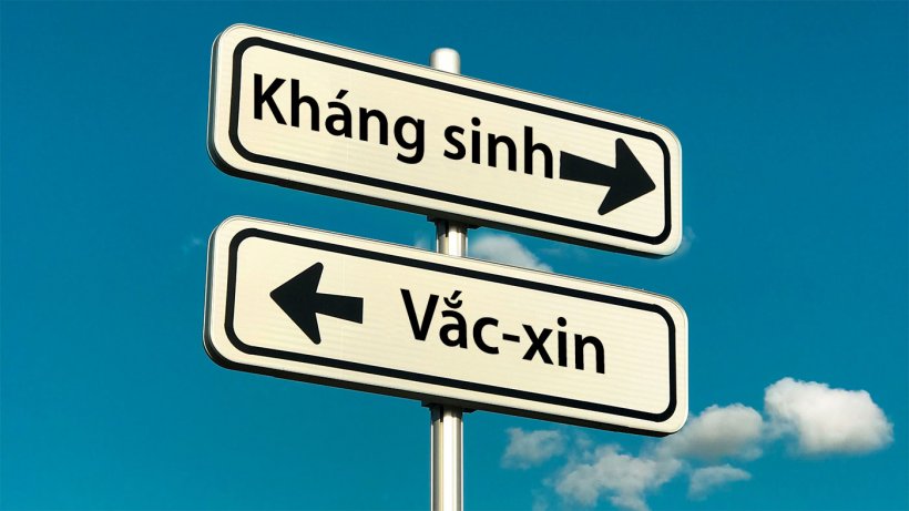 Việc tăng cường sản xuất thực phẩm từ động vật v&agrave; sự xuất hiện của c&aacute;c hệ thống sản xuất mới (chẳng hạn như hệ thống chăn nu&ocirc;i kh&ocirc;ng d&ugrave;ng kh&aacute;ng sinh hoặc hệ thống hữu cơ) đ&atilde; dẫn đến sự xuất hiện&nbsp;hoặc t&aacute;i xuất hiện&nbsp;một số mầm bệnh. Những xu hướng x&atilde; hội mới n&agrave;y, c&ugrave;ng với mong muốn giảm sử dụng kh&aacute;ng sinh vật trong chăn nu&ocirc;i, n&ecirc;u bật tầm quan trọng của việc cải tiến c&aacute;c loại vắc-xin hiện c&oacute; v&agrave;/hoặc ph&aacute;t triển c&aacute;c chiến lược ti&ecirc;m ph&ograve;ng mới để chống lại mầm bệnh mới xuất hiện&nbsp;hoặc t&aacute;i xuất hiện.
