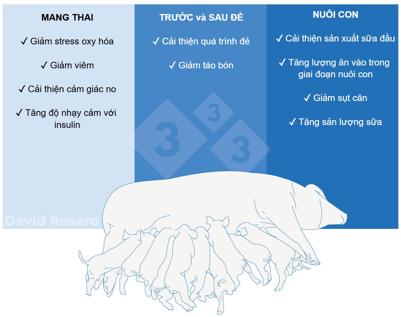 H&igrave;nh 1. T&aacute;c động của chất xơ như một biện ph&aacute;p dinh dưỡng trong khẩu phần heo n&aacute;i
