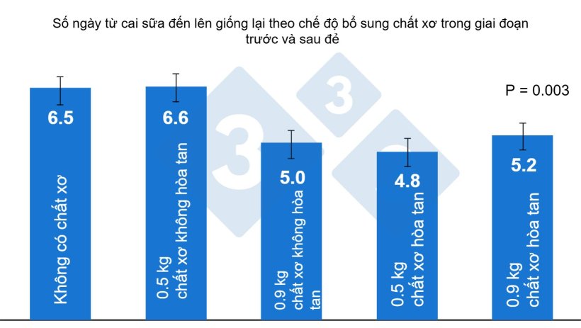 H&igrave;nh 4. Ảnh hưởng của chất xơ đối với n&aacute;i&nbsp;trong giai đoạn trước v&agrave; sau&nbsp;đẻ đến khoảng thời gian từ khi cai sữa đến l&ecirc;n giống&nbsp;lại.
