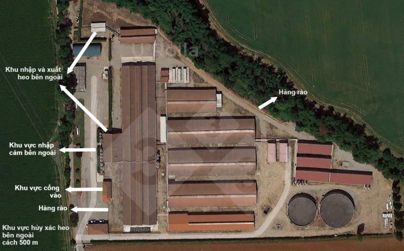 H&igrave;nh 1. Ảnh chụp từ tr&ecirc;n cao của trại heo n&aacute;i.
