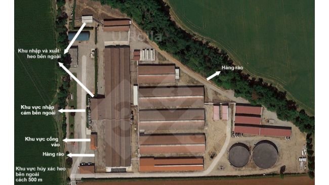 Hình 1. Ảnh chụp từ trên cao của trại heo nái.