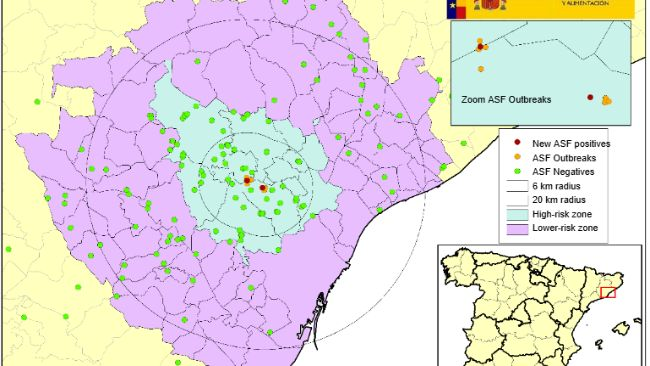 Location of the 9 outbreaks in wild boars and the negative dead boars found in Catalonia (Source: MAPA).