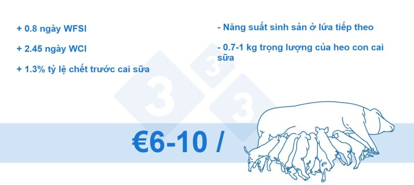 H&igrave;nh 4. Tỷ lệ hao hụt tr&ecirc;n mỗi heo n&aacute;i (dữ liệu nội bộ)
