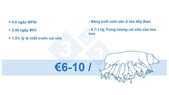 Hình 4. Tỷ lệ hao hụt trên mỗi heo nái (dữ liệu nội bộ)