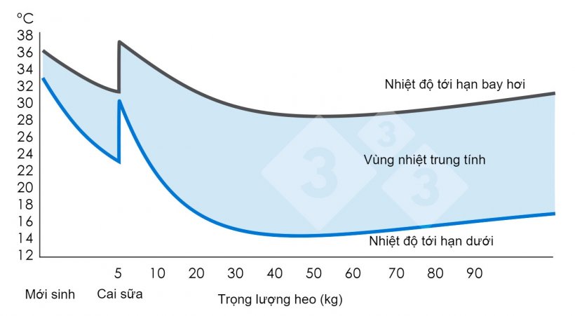 Biểu đồ 1. V&ugrave;ng trung t&iacute;nh nhiệt hoặc v&ugrave;ng thoải m&aacute;i nhiệt (nơi heo cảm thấy thoải m&aacute;i). Bộ N&ocirc;ng nghiệp, Thủy sản v&agrave; Thực phẩm (1983). M&ocirc;i trường Heo. Vương quốc Anh: MAFF. (Tập 2410).&nbsp;
