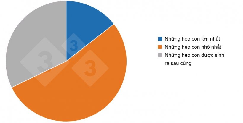 Kết quả khảo s&aacute;t của 333 về việc chia ca b&uacute;&nbsp;
