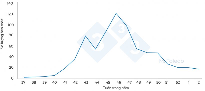 H&igrave;nh 4. Tổng số heo chết khi xuất chuồng theo tuần trong năm.&nbsp;
