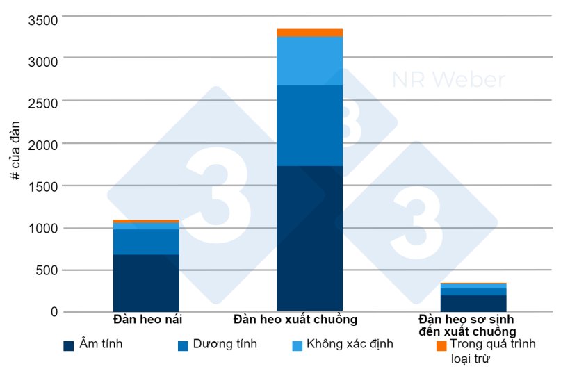 H&igrave;nh 1. Ph&acirc;n bố đ&agrave;n heo theo loại h&igrave;nh chăn nu&ocirc;i v&agrave; t&igrave;nh trạng huyết thanh học PRRS - Th&aacute;ng 5/2023.&nbsp;
