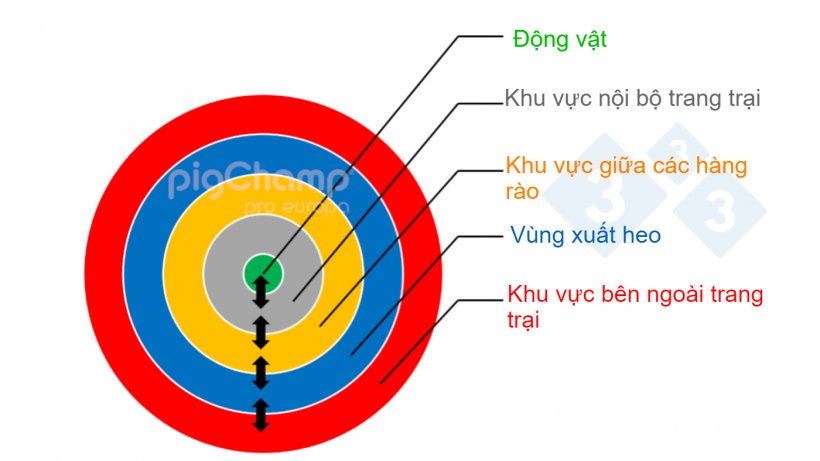 H&igrave;nh 1. Sơ đồ thể hiện an to&agrave;n sinh học trong trang trại được tổ chức theo c&aacute;c v&ograve;ng.
