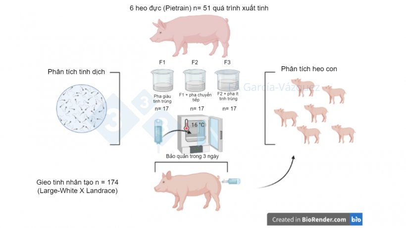 H&igrave;nh 1. T&oacute;m tắt nghi&ecirc;n cứu bằng h&igrave;nh ảnh.
