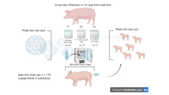 H&igrave;nh 1. T&oacute;m tắt nghi&ecirc;n cứu bằng h&igrave;nh ảnh.
