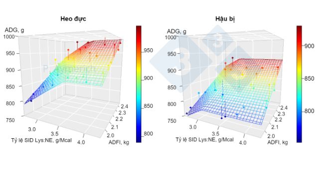 H&igrave;nh 1. M&ocirc; h&igrave;nh h&oacute;a t&aacute;c động của tỷ lệ lysine tr&ecirc;n năng lượng v&agrave; mức ti&ecirc;u thụ b&igrave;nh qu&acirc;n ng&agrave;y ở to&agrave;n bộ heo đực v&agrave; heo c&aacute;i c&oacute; c&acirc;n nặng từ 70 đến 105 kg LW (Aymerich v&agrave; cộng sự, 2020).&nbsp;
