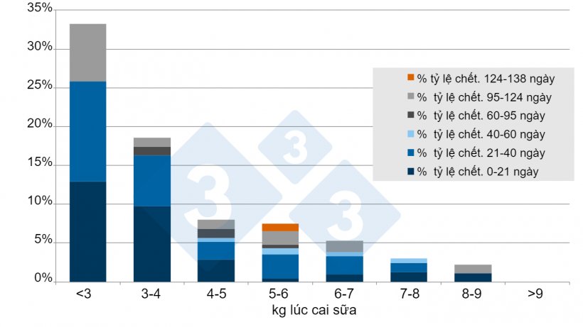 H&igrave;nh 5. Tỷ lệ chết&nbsp;từ khi cai sữa đến 138 ng&agrave;y sau cai sữa. Nguồn: A. Vidal, 2015.
