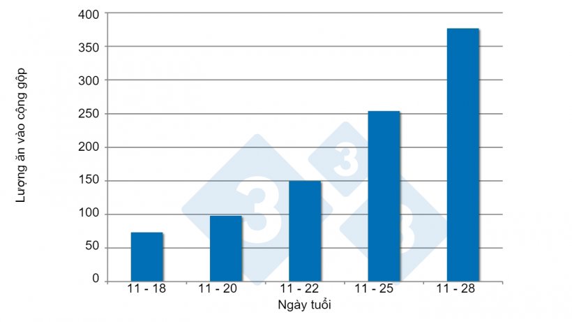 H&igrave;nh 3. Lượng ti&ecirc;u thụ thức ăn pre-starter. Nguồn: Brunix v&agrave; cộng sự, 2002.
