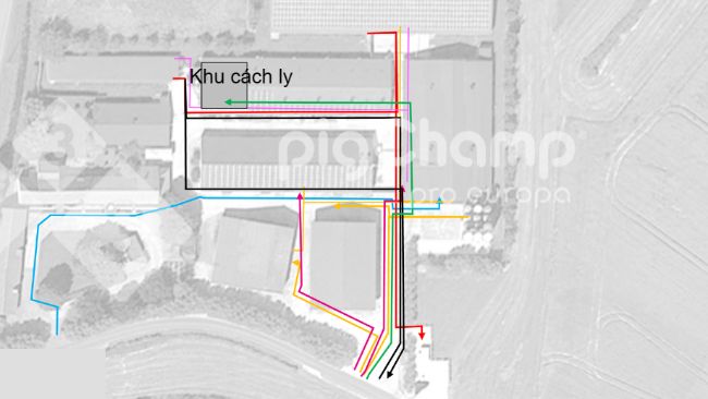 H&igrave;nh 1. Lộ tr&igrave;nh di chuyển l&uacute;c đầu.
