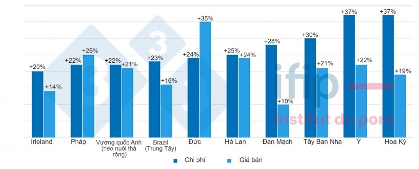 H&igrave;nh 2. Diễn biến chi ph&iacute; v&agrave; gi&aacute; b&aacute;n (2022/2021): tăng trung b&igrave;nh 27%. Nguồn: IFIP dựa tr&ecirc;n InterPIG.&nbsp;
