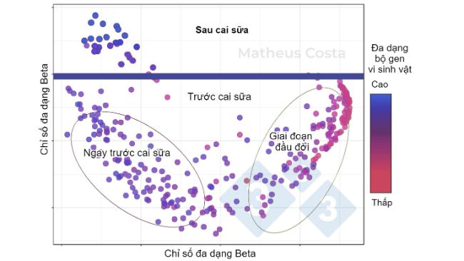 H&igrave;nh 1. C&aacute;c điểm ph&acirc;n t&aacute;n cho thấy mối li&ecirc;n quan giữa th&agrave;nh phần hệ vi sinh vật của heo trong giai đoạn đầu đời (0-7 ng&agrave;y), ngay trước cai sữa (21 ng&agrave;y) v&agrave; sau cai sữa (100 ng&agrave;y). Sự thay đổi lớn nhất được quan s&aacute;t thấy giữa c&aacute;c mẫu trước cai sữa v&agrave; sau cai sữa. Đa dạng alpha đạt đến đỉnh sau khi cai sữa (được biểu thị bằng &ldquo;đa dạng bộ gen vi sinh vật&rdquo;).&nbsp;
