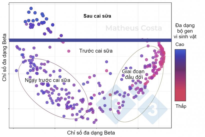 H&igrave;nh 1. C&aacute;c điểm ph&acirc;n t&aacute;n cho thấy mối li&ecirc;n quan giữa th&agrave;nh phần hệ vi sinh vật của heo trong giai đoạn đầu đời (0-7 ng&agrave;y), ngay trước cai sữa (21 ng&agrave;y) v&agrave; sau cai sữa (100 ng&agrave;y). Sự thay đổi lớn nhất được quan s&aacute;t thấy giữa c&aacute;c mẫu trước cai sữa v&agrave; sau cai sữa. Đa dạng alpha đạt đến đỉnh sau khi cai sữa (được biểu thị bằng &ldquo;đa dạng bộ gen vi sinh vật&rdquo;).&nbsp;
