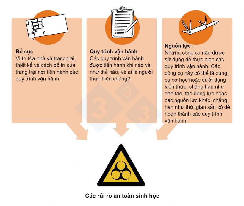 H&igrave;nh 2. C&aacute;c rủi ro an to&agrave;n sinh học v&agrave; c&aacute;c điểm kiểm so&aacute;t quan trọng: C&aacute;c kh&iacute;a cạnh của quy tr&igrave;nh sản xuất c&oacute; thể thực hiện c&aacute;c biện ph&aacute;p kiểm so&aacute;t an to&agrave;n sinh học.
